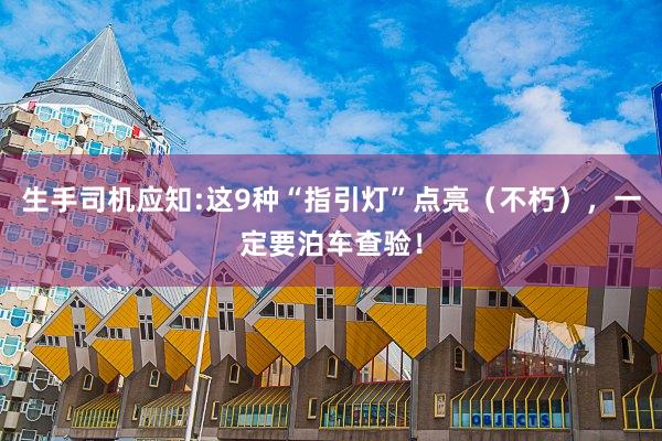 生手司机应知:这9种“指引灯”点亮（不朽），一定要泊车查验！