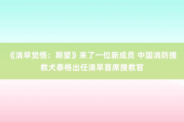 《清早觉悟：期望》来了一位新成员 中国消防搜救犬泰格出任清早首席搜救官