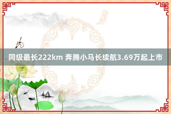 同级最长222km 奔腾小马长续航3.69万起上市