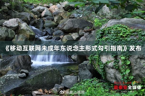 《移动互联网未成年东说念主形式勾引指南》发布