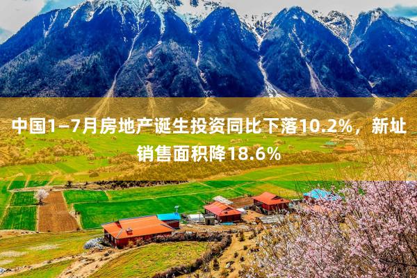 中国1—7月房地产诞生投资同比下落10.2%，新址销售面积降18.6%