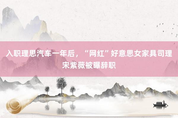 入职理思汽车一年后，“网红”好意思女家具司理宋紫薇被曝辞职