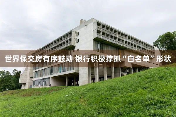 世界保交房有序鼓动 银行积极撑抓“白名单”形状